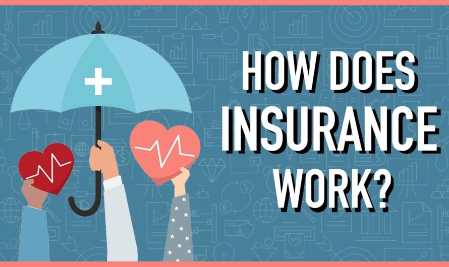 Understanding: How Insurance Works